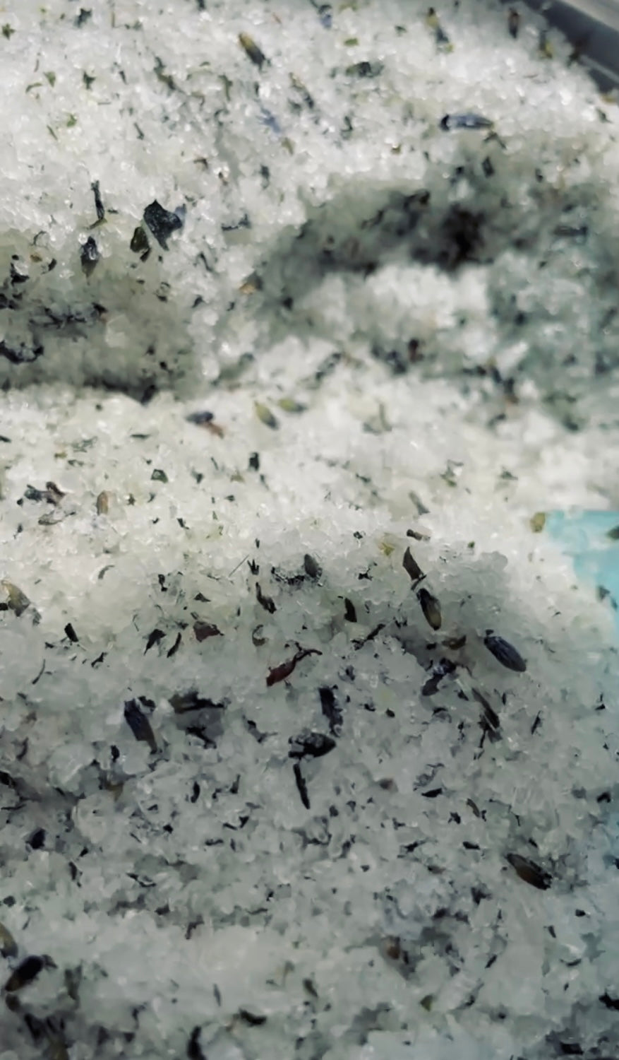 Brain Detox Bath Mix